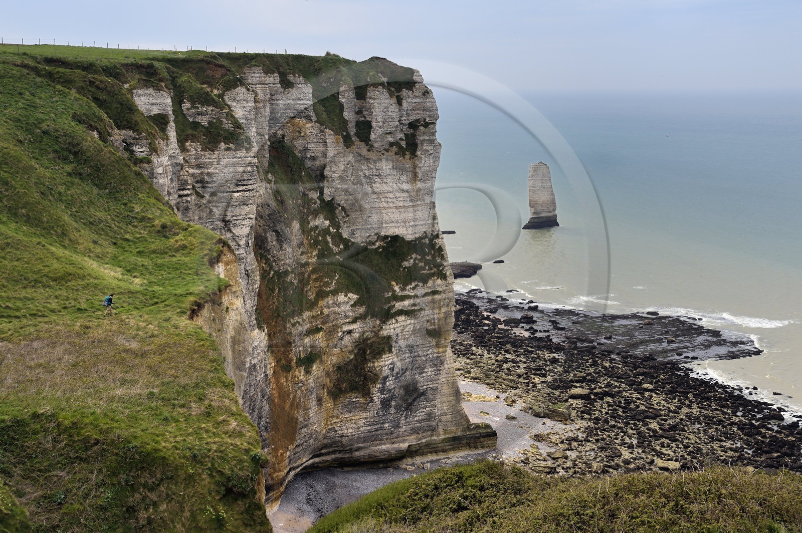 France, Seine-Maritime (76), Pays de Caux, Côte d'Albâtre, randonneur sur le GR21 entre Etretat et Yport, aiguille de Belval et falaise à marée basse