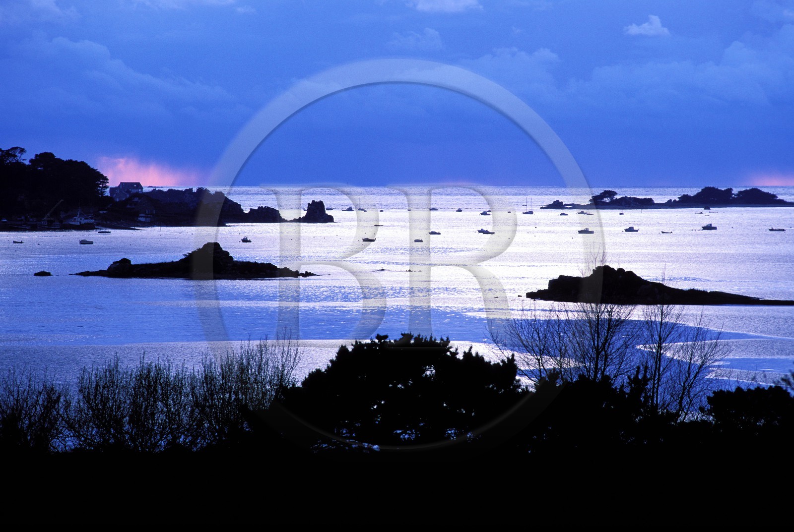 France, Hérault (34), Etang de Vic