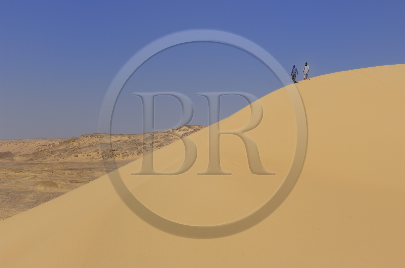 Egypte, Basse-Egypte, désert libyque, les dunes non loin de l'oasis de Bahariya (Bahareyya)