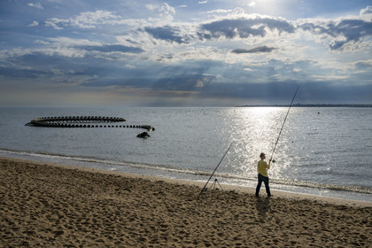 Saint-Brevin-les-Pins, Mindin, collection d'art contemporain à ciel ouvert Estuaire, le Serpent d'Océan réalisé par l'artiste chinois Huang Yong Ping représentant un long squelette de serpent de mer, installé sur l'estran et apparaissant au rythme des marées