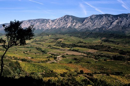 France, Pyrénées-Orientales (66), région des Fenouillèdes, terroir du vin AOC de Maury