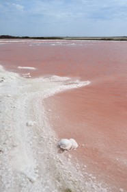 France, Bouches-du-Rhône (13), Camargue, Salin-de-Giraud, les salins du Midi, dépots de sel