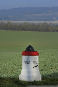 France, Meuse (55), région de Verdun, borne kilométrique de la Voie Sacrée sur la route entre Verdun et Bar le Duc