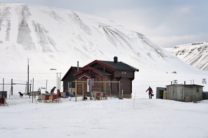 Norvège, Svalbard, Spitzberg, vallée de Adventdalen vers Longyearbyen, élevage de chiens de traineau