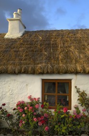 Irlande, Comté de Galway, Aran Islands, Inishmore, Kilmurvey, le B&B Man of Aran cottage (maison de Robert Flaherty)