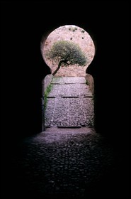Espagne, Estrémadure, Trujillo, porte à l' intérieur du château