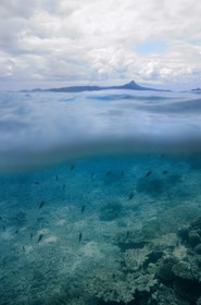 France, Ile de Mayotte, Grande-Terre, récif de corail dans la lagune face à la pointe Saziley  sur la cote Est