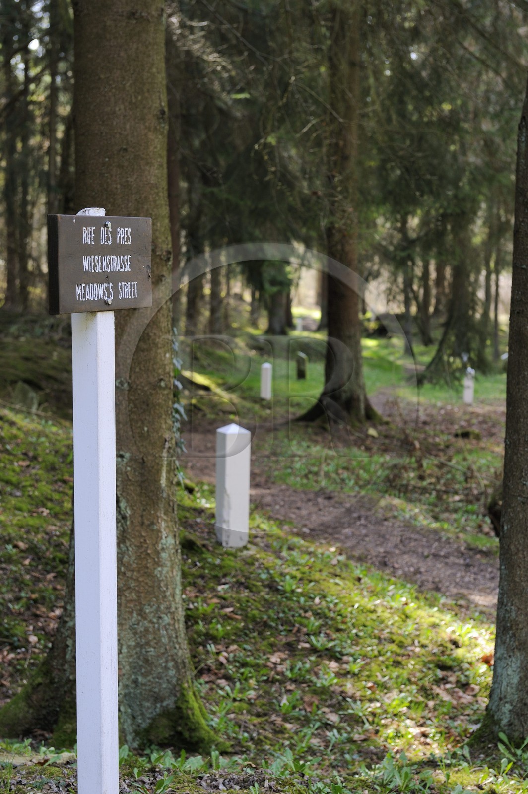 France, Meuse (55), région de Verdun, Fleury-devant-Douaumont, le village fut entièrement détruit en 1916 pendant la bataille de Verdun et ne fut pas reconstruit, ancienne rue du village