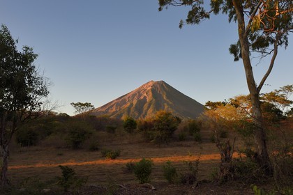 Nicaragua, Ile d'Ometepe sur le lac Nicaragua, le volcan Conception (1610 m) toujours en activité