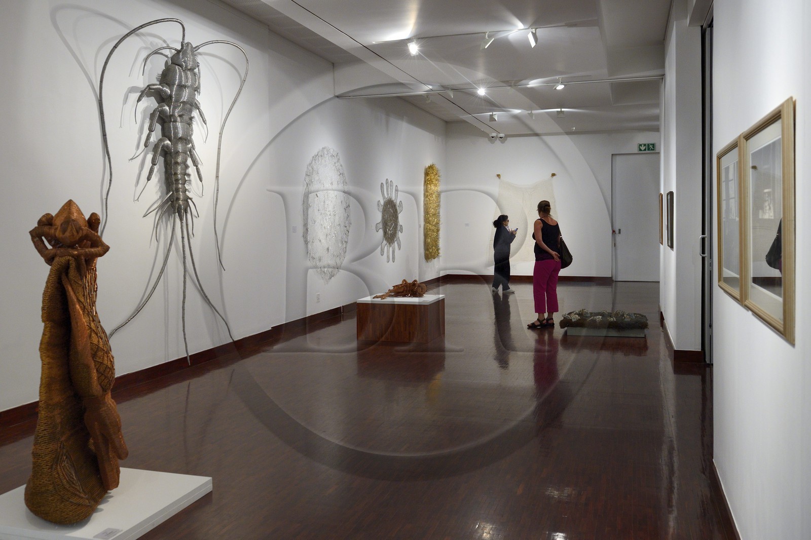 Afrique du Sud, province de Gauteng, Johannesburg, la Standard Bank Gallery, Dans le Tissage (In the Weave), une exposition d'œuvres de Walter Oltmann, l'un des artistes les plus connus d'Afrique du Sud