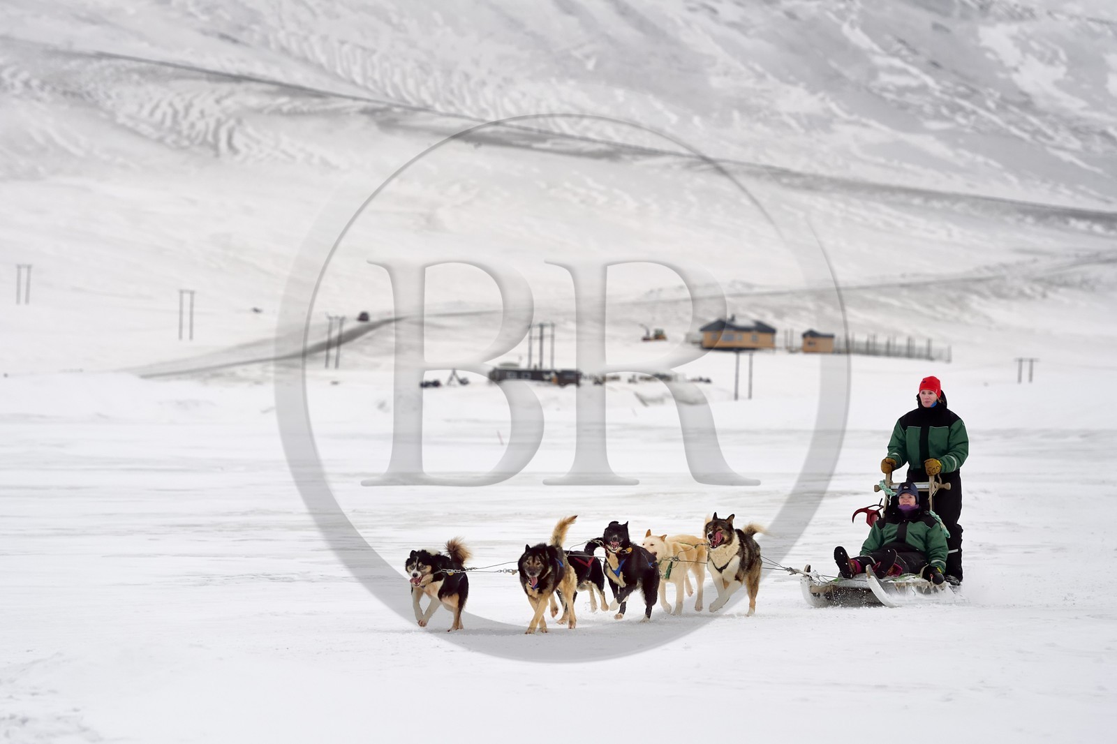 Norvège, Svalbard, Spitzberg, attelage de chiens de traineau dans la vallée de Adventdalen vers Longyearbyen
