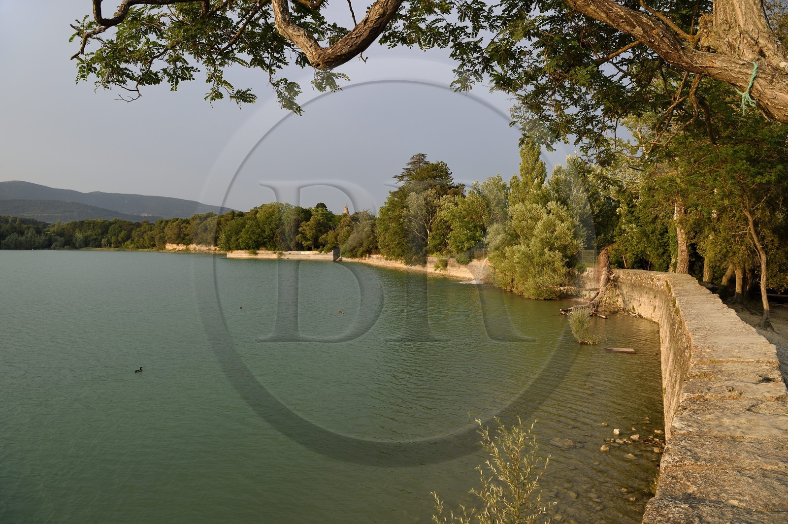 France, Vaucluse (84), Parc Naturel Regional du Luberon, La Tour d'Aigues, l'étang de la Bonde