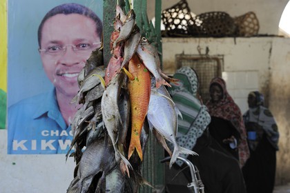 Tanzanie, Zanzibar, Stown Town, le marché de Darajani, marché au poissons