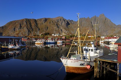 Norvège, Nordland, Iles Lofoten, port de pêche de Ballstad dans l'île de Vestvagoy