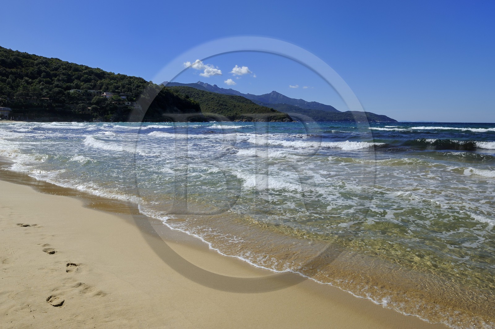 Italie, Toscane, l’Ile d’Elbe, la plage de Biodola sur la cote Nord