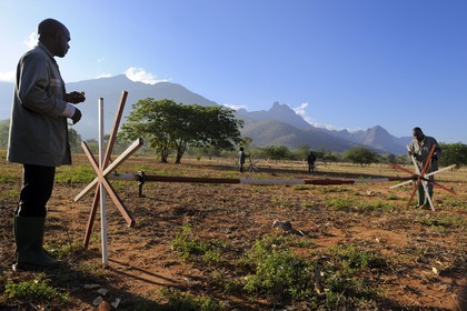 Tanzanie, université de Morogoro, centre de recherche Apopo de technologie de détection par les rats de mines anti-personnel, entrainement des rats à la détection de TNT sur le terrain