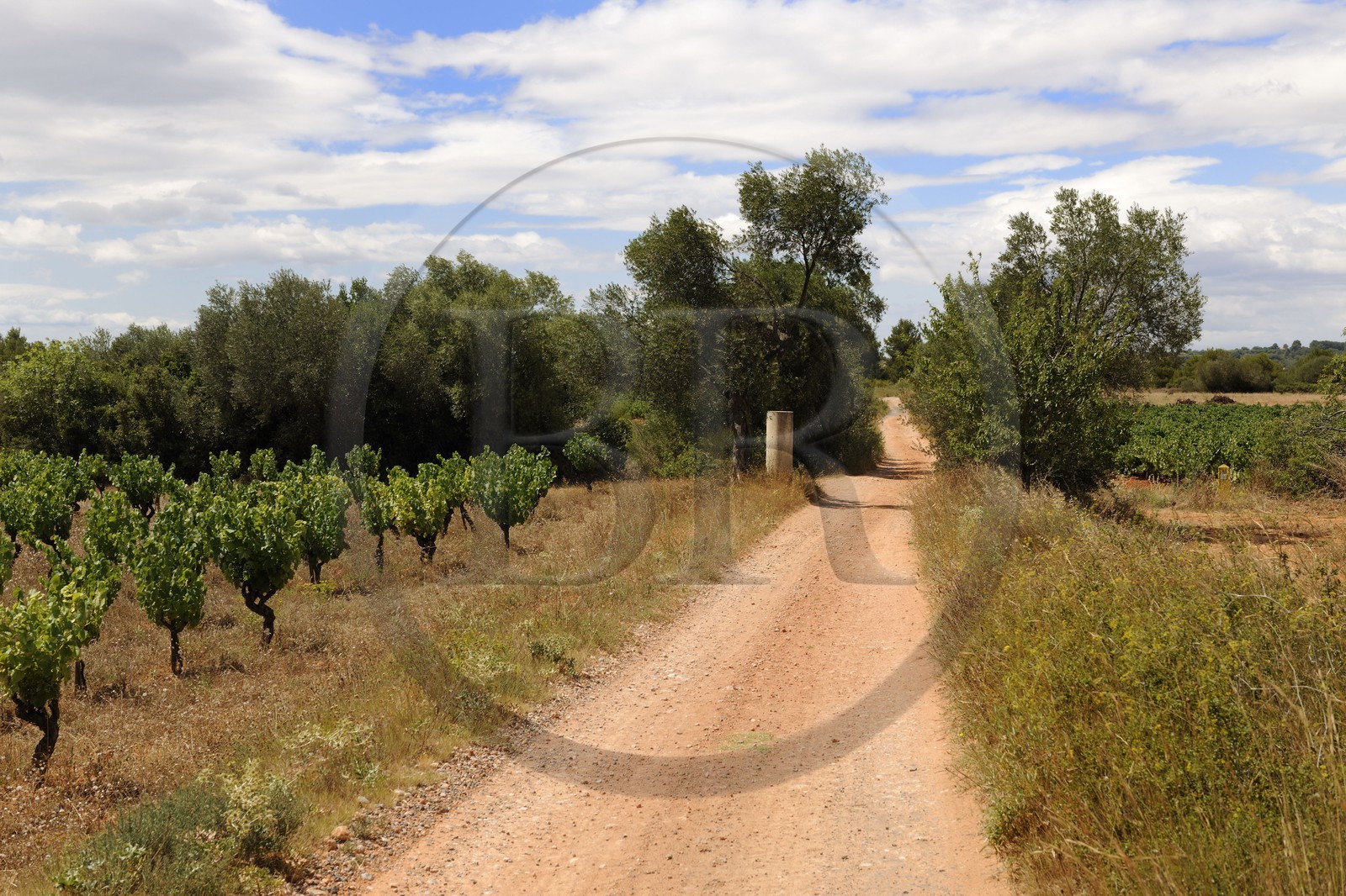 France, Hérault (34), région de Pinet, la voie Domitienne (Via Domitia) et borne milliaire romaine, tronçon bassin de Thau, en dehors des villes c'est un chemin en terre battue sur des couches stratifiées de gravier et de cailloutis