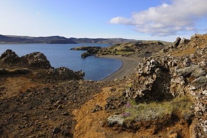 Islande, Région de Reykjavik, vallée de Krisuvik, le lac Kleifarvatn