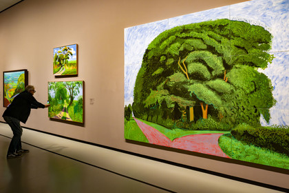 France, Paris (75), Bois de Boulogne, la fondation Louis Vuitton de l'architecte Frank Gehry, exposition David Hockney 25, Bigger Trees nearer Warter, Summer 2008, huile sur 9 toiles