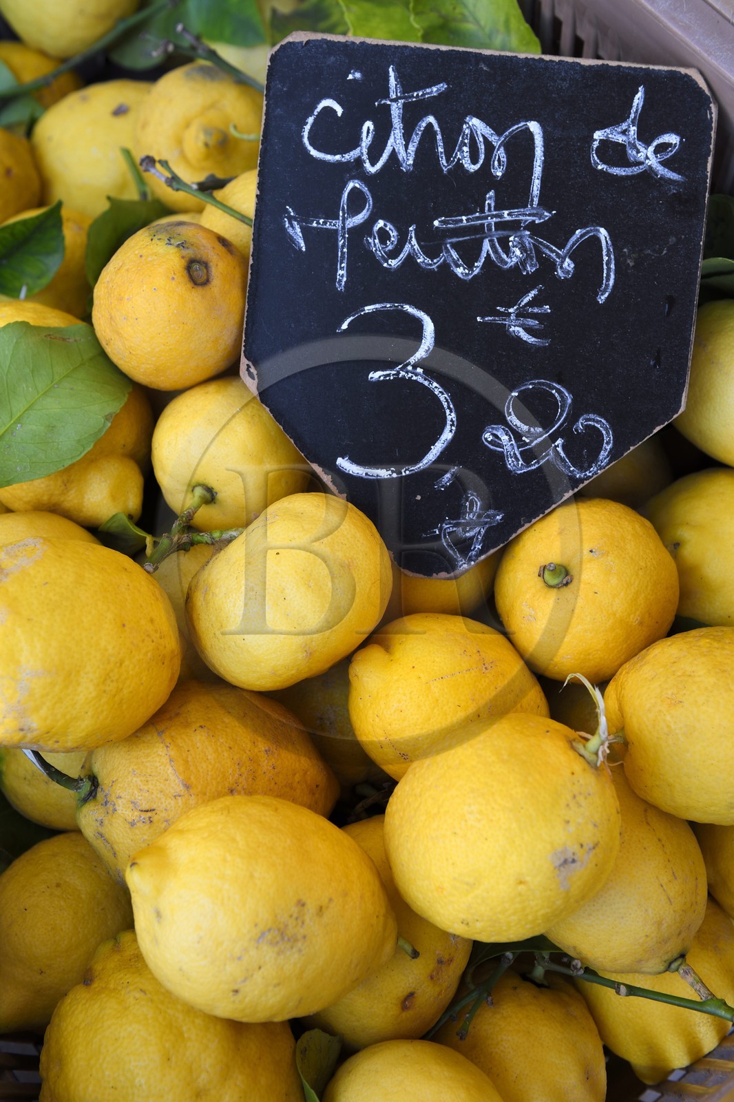 France, Alpes-Maritimes (06), Menton, marché couvert, halle municipale, le citron de Menton