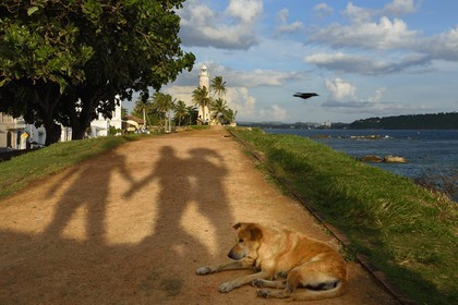 Sri Lanka, Province du Sud, Fort de Galle, classé Patrimoine Mondial de l'UNESCO, le phare sur les remparts maritimes de la ville fortifiée