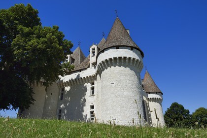 France, Dordogne (24), Périgord Pourpre, Monbazillac, Chateau de Monbazillac