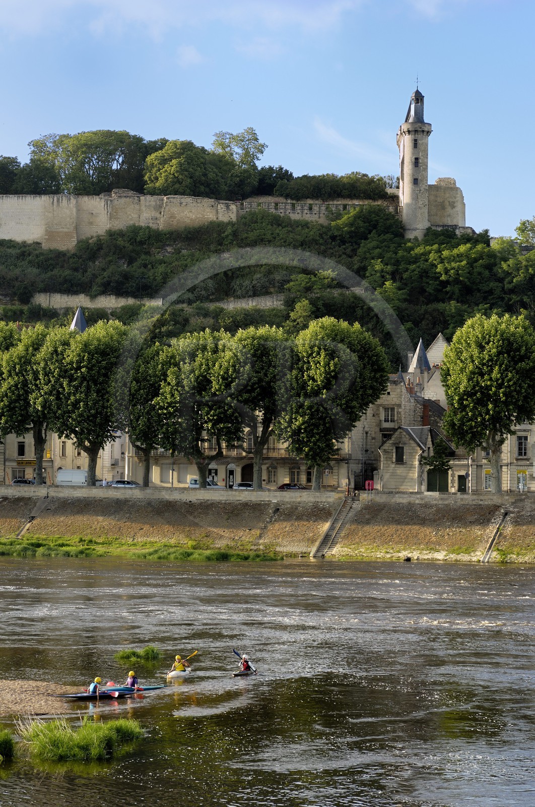 France, Indre et Loire (37), Vallée de la Loire classée Patrimoine Mondial de l'UNESCO, Chinon, vue de la ville et du château depuis la rive sud de la Vienne