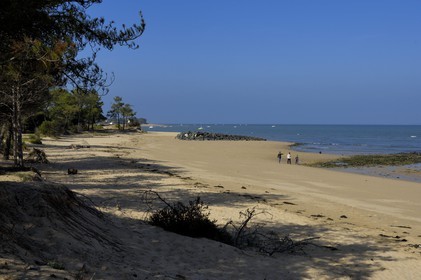France, Charente-Maritime (17), ile de Ré, Les Portes-en-Ré, plage de Trousse-Chemise