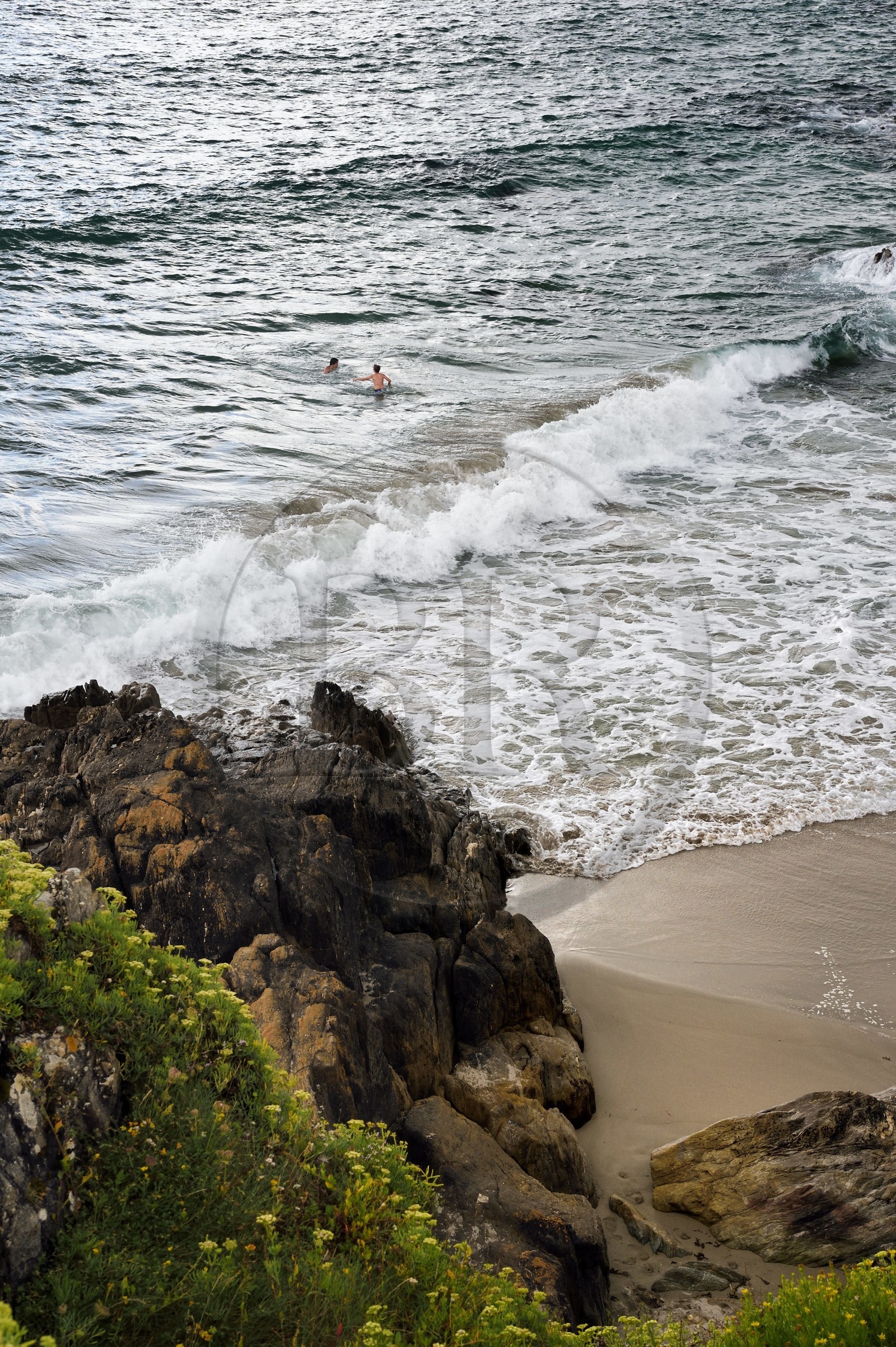 France, Finistère (29), Moelan-sur-Mer, le littoral entre Kerfany les Pins et la plage de Trenez sur le chemin de Grande Randonnée GR 34 ou sentier des douaniers, baigneurs dans une crique
