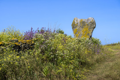 France, Finistère (29), Mer d'Iroise, archipel de Molène, Ile de Quéménès, le menhir