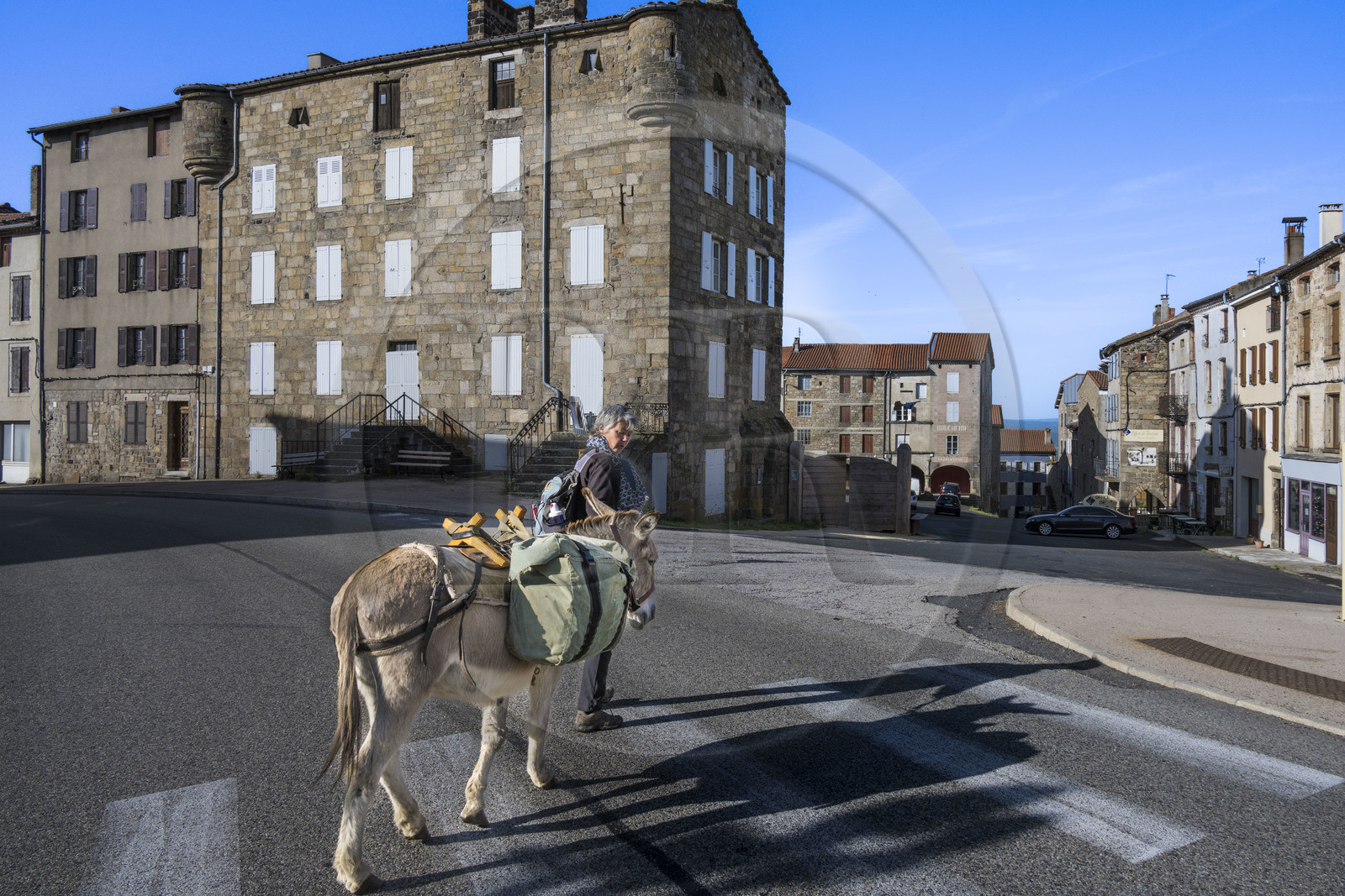 France, Haute-Loire (43), Pradelles, labellisé Les Plus Beaux Villages de France, randonnée avec un âne sur le chemin de Stevenson (GR 70) vers la vieille ville
