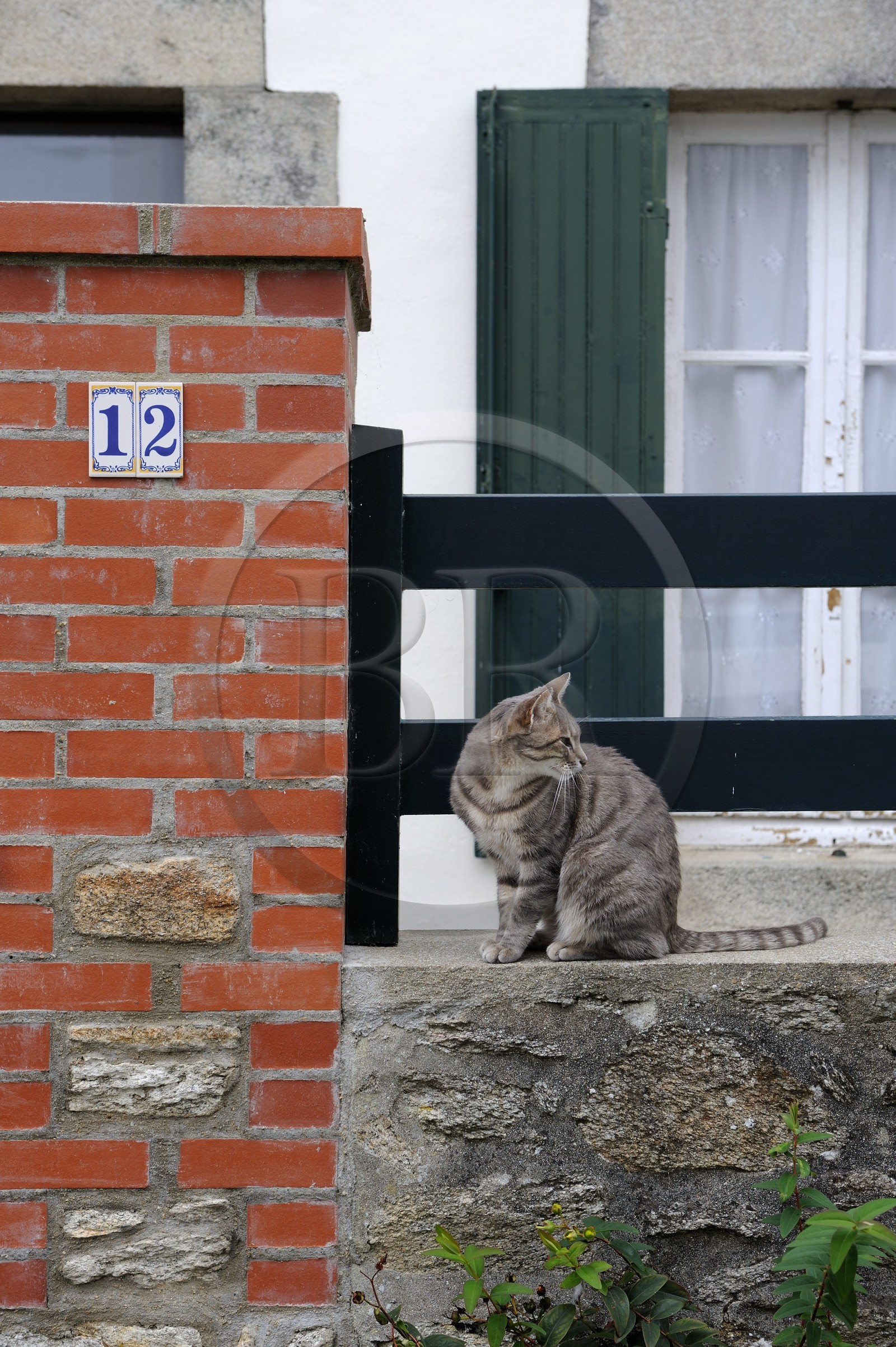 France, Loire-Atlantique (44), Piriac-sur-Mer