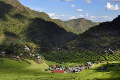 Philippines, province d'Ifugao, les rizières en terrasses de Banaue autour du village de Batad, classées Patrimoine Mondial de l'UNESCO, alimentées par un ancien système d'irrigation depuis la forêt tropicale au-dessus des terrasses