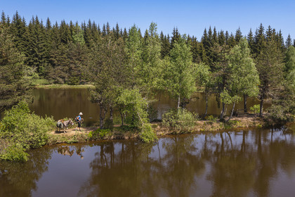 France, Lozère (48), Luc, randonnée avec un âne sur le chemin de Stevenson (GR 70) en bordure de l'étang de l'Auradou (vue aérienne)