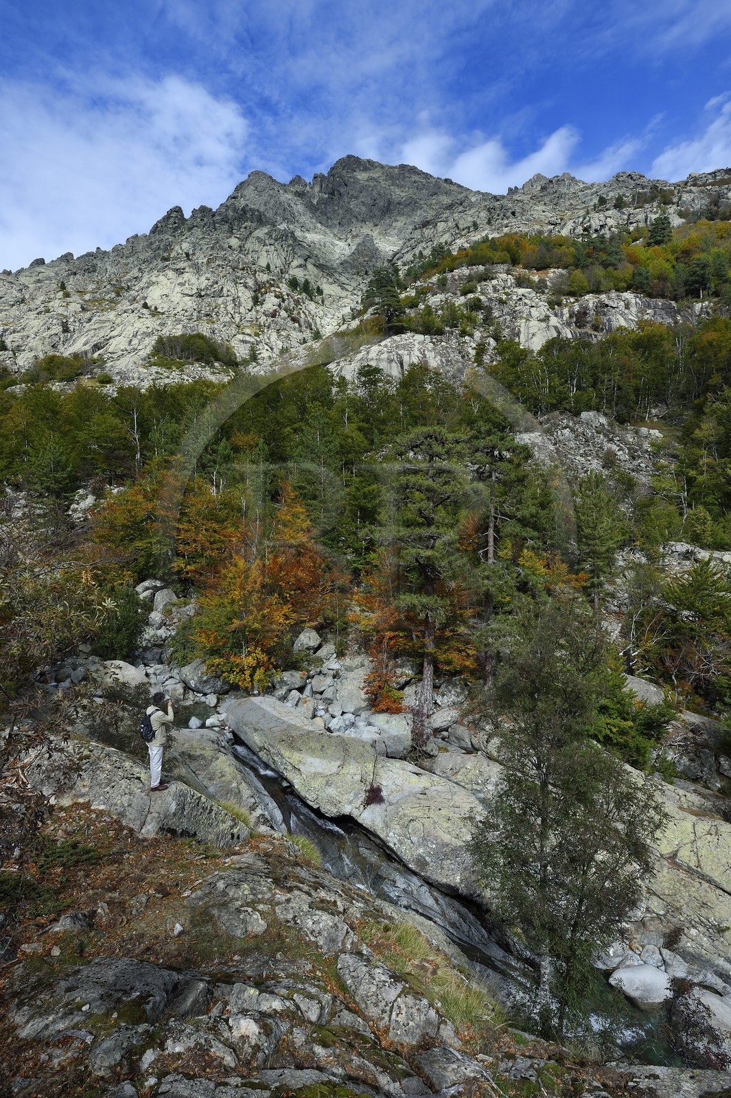 France, Haute-Corse (2B), Vivario, GR 20, étape entre le refuge de l'Onda et Vizzavona, foret de Vizzavona, les cascades des anglais, groupe de cascades dans la vallée de l'Agnone au pied du Monte d'Oro