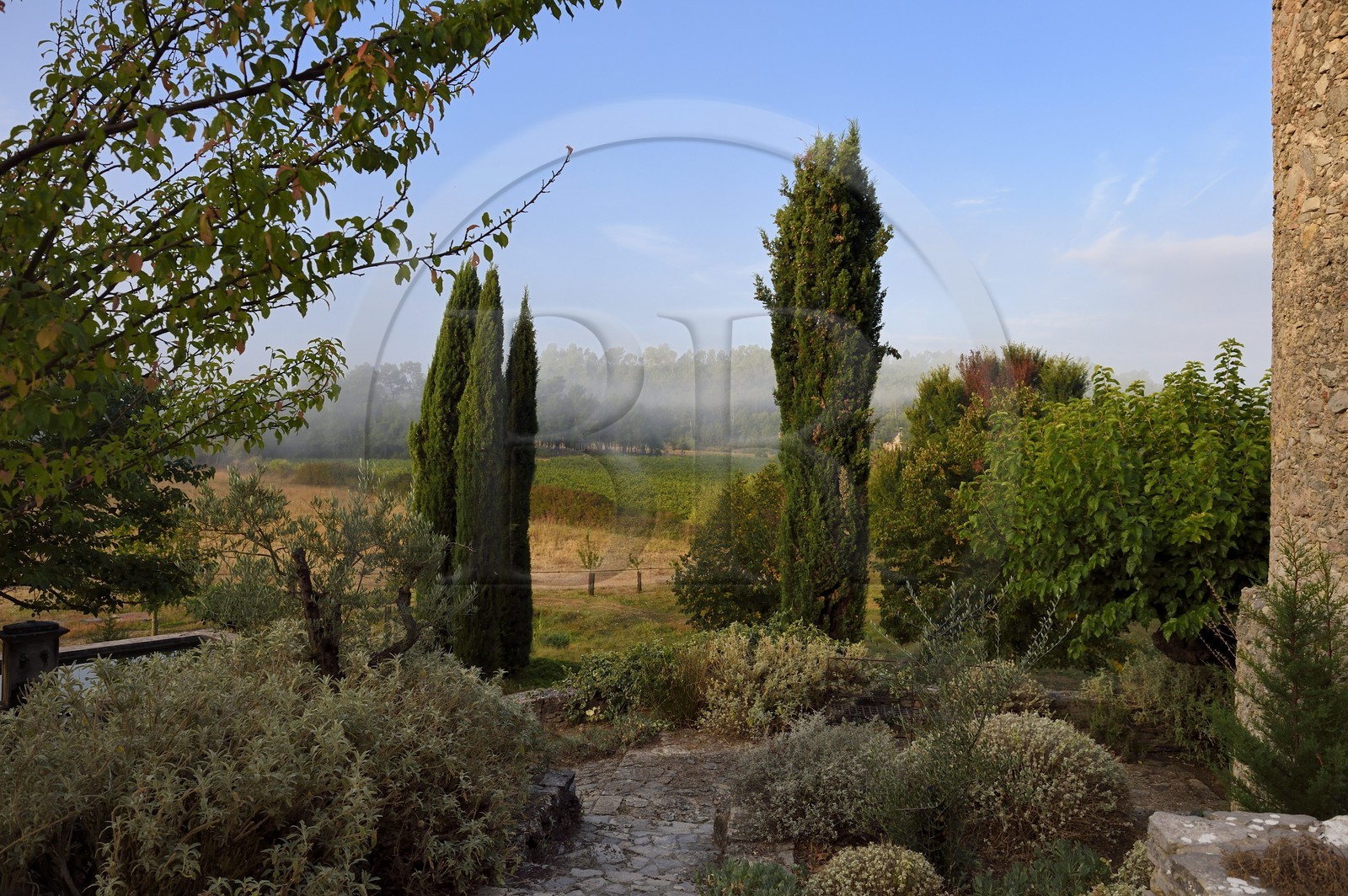 France, Var (83), Provence Verte, Bras, vers Saint-Maximin-la-Sainte-Baume, la maison d'hotes Le Peyrourier - une campagne en Provence