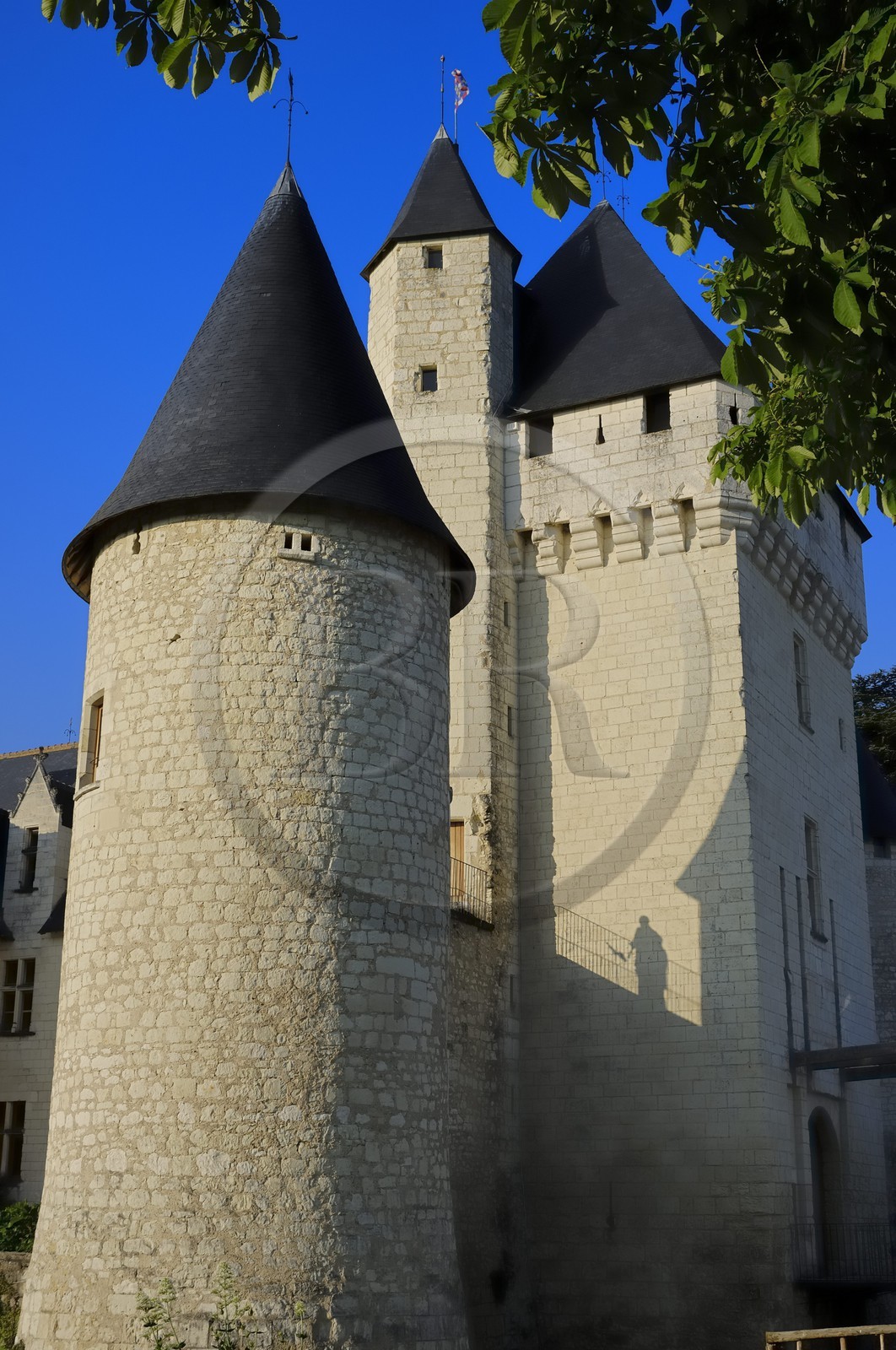 France, Indre et Loire (37), château du Rivau