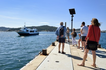 France, Var (83), la rade de Toulon, La Seyne-sur-Mer, quartier de Tamaris sur la corniche Michel Pacha, bateau-bus