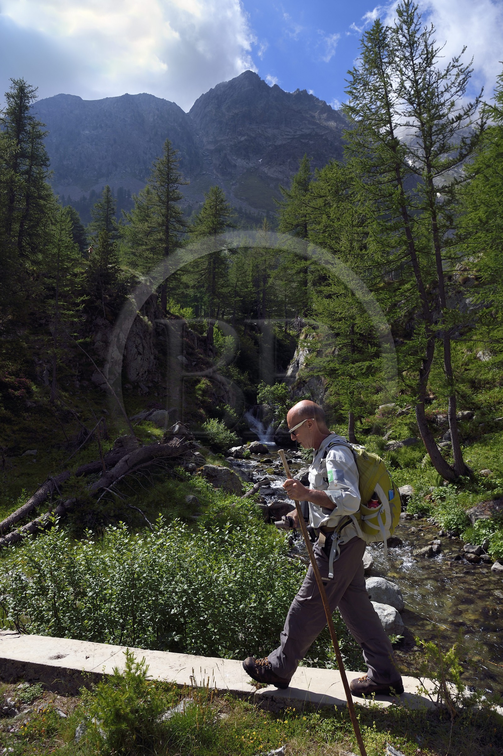 France, Alpes-Maritimes (06), parc national du Mercantour, vallée de la rivière Valmasque et sommets de la haute Valmasque, le guide et ancien garde-moniteur du parc Alain Lanteri-Minet sur le pont qui franchit le torrent de la Valmasque