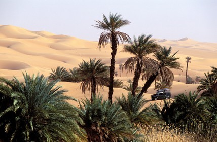 Libye, région du désert, Le Fezzan (Sahara), Erg Ubari, passage d'un 4x4 dans l'oasis