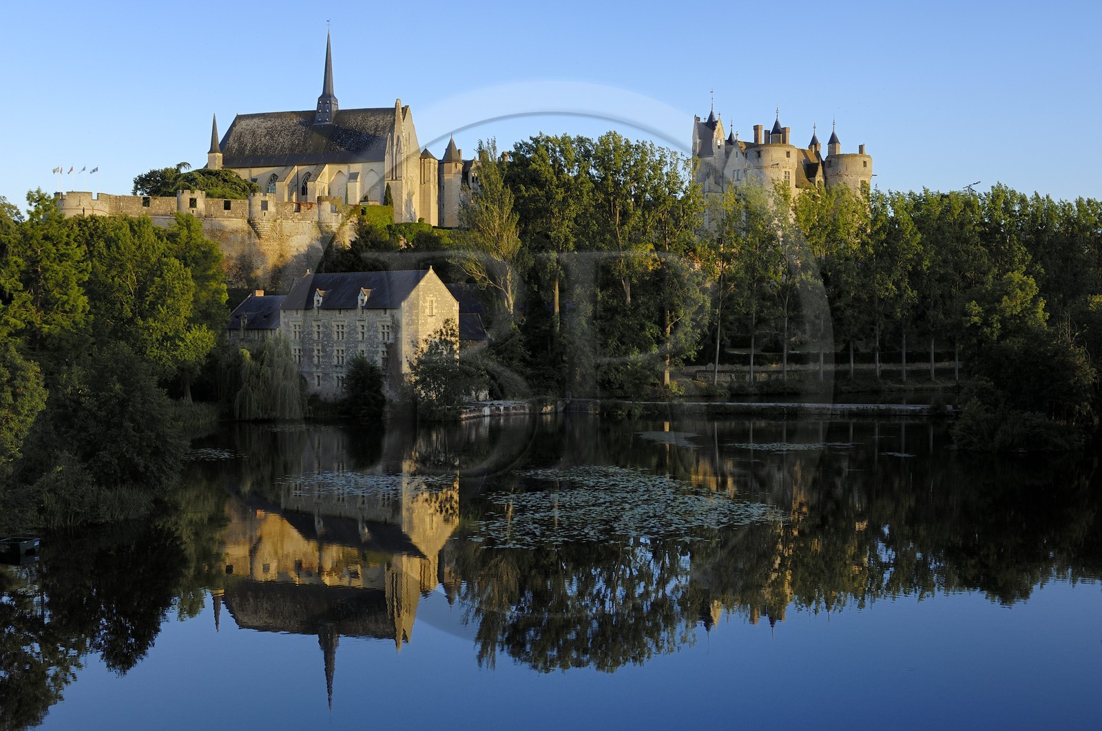 France, Maine et Loire (49), château de Montreuil-Bellay