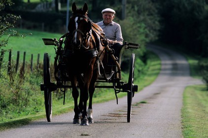 France, Mayenne (53), cheval tractant une calèche