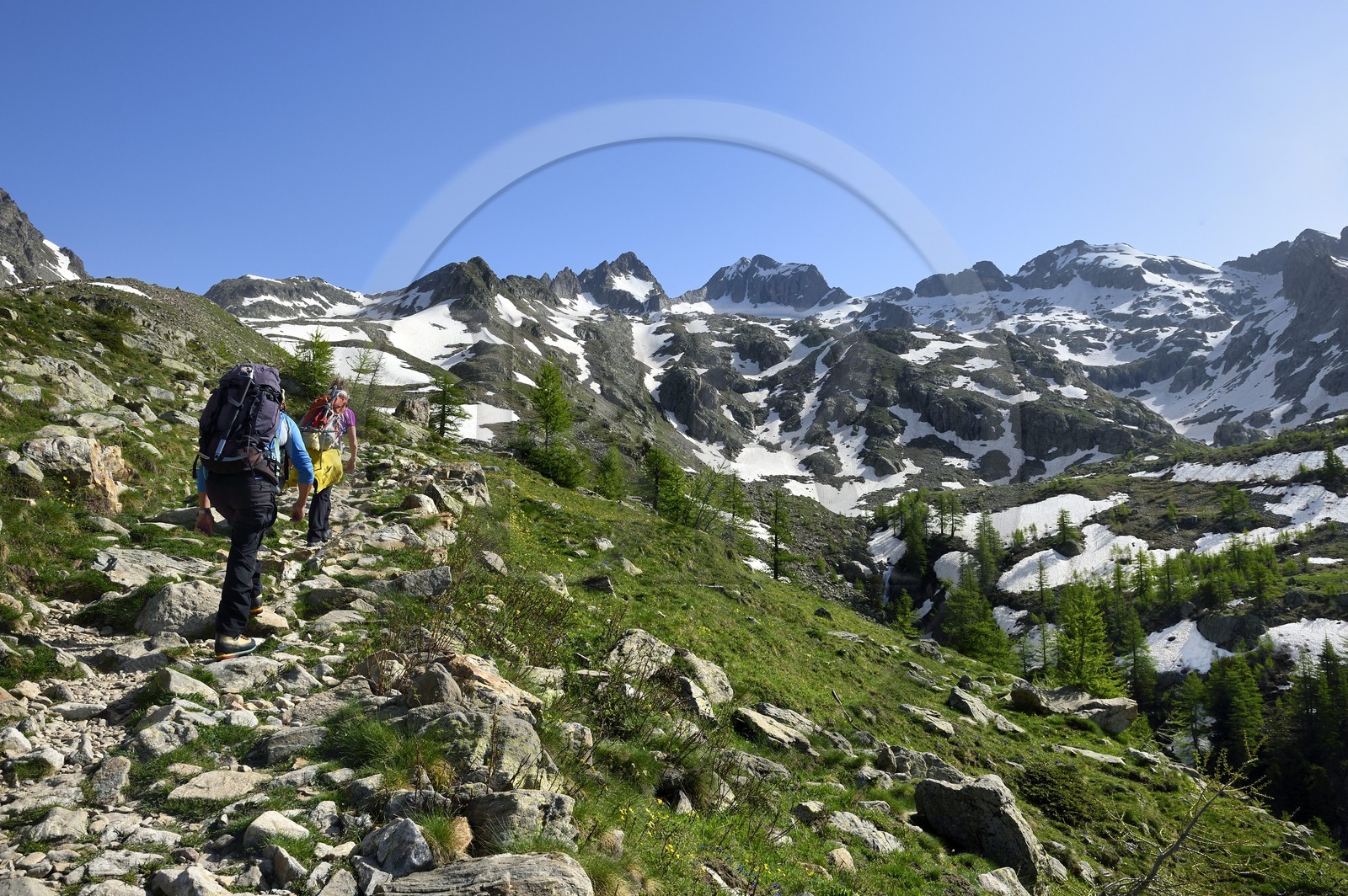 France, Alpes-Maritimes (06), parc national du Mercantour, Haute-Vésubie, randonnée dans le vallon de la Madone de Fenestre, le massif du Gélas (3143m) qui marque la frontière avec l'Italie