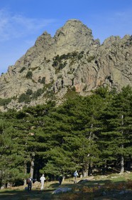 France, Corse-du-Sud (2A), Alta Rocca, Aiguilles de Bavella, randonneurs sur le chemin de randonnée GR 20