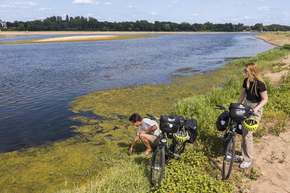 France, Maine-et-Loire (49), vallée de la Loire classée au Patrimoine Mondial par l'UNESCO, Gennes-Val-de-Loire, randonnée à bicyclette sur les berges de la Loire (vue aérienne)