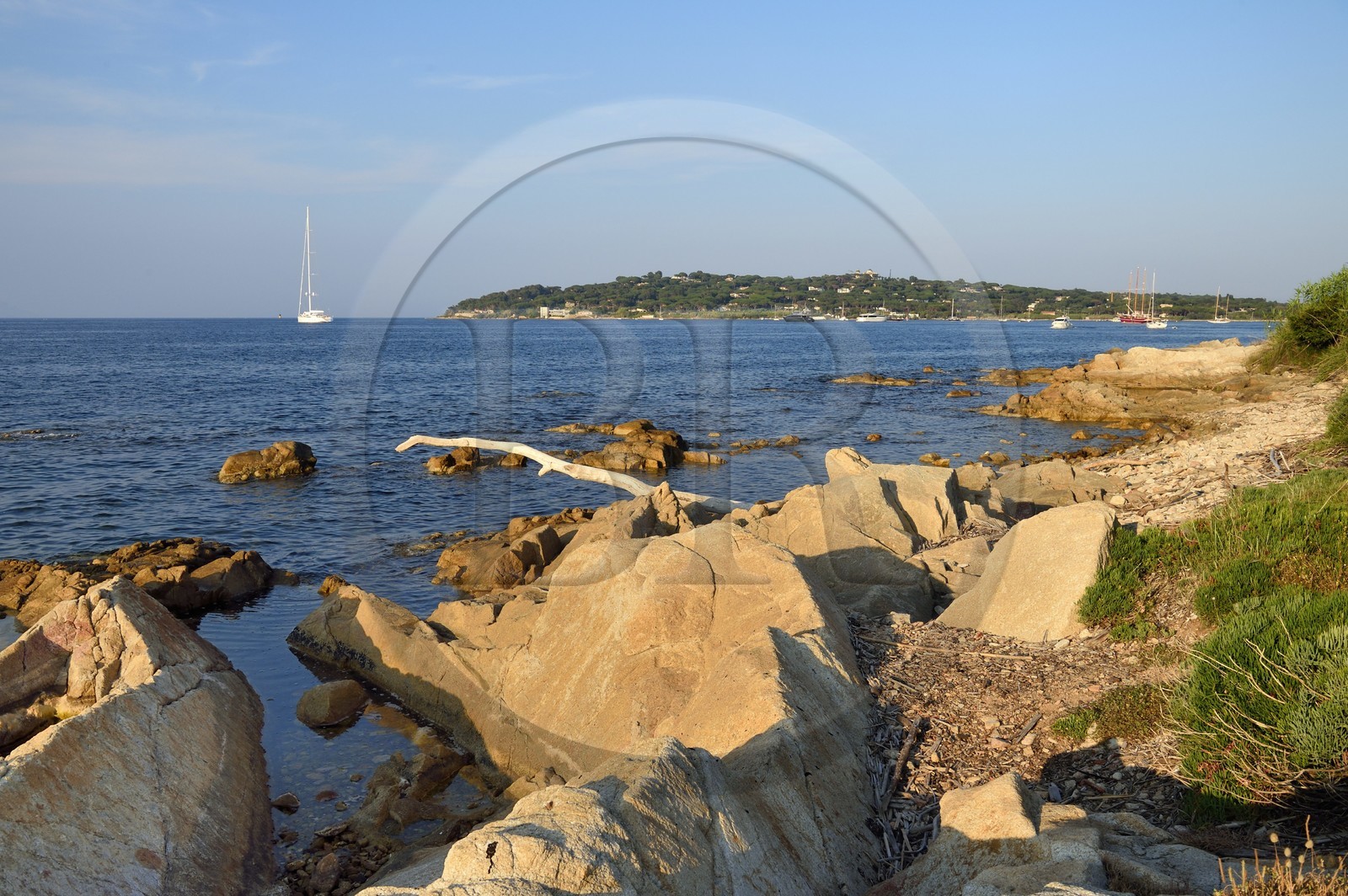 France, Var (83), Saint-Tropez, sentier des Graniers