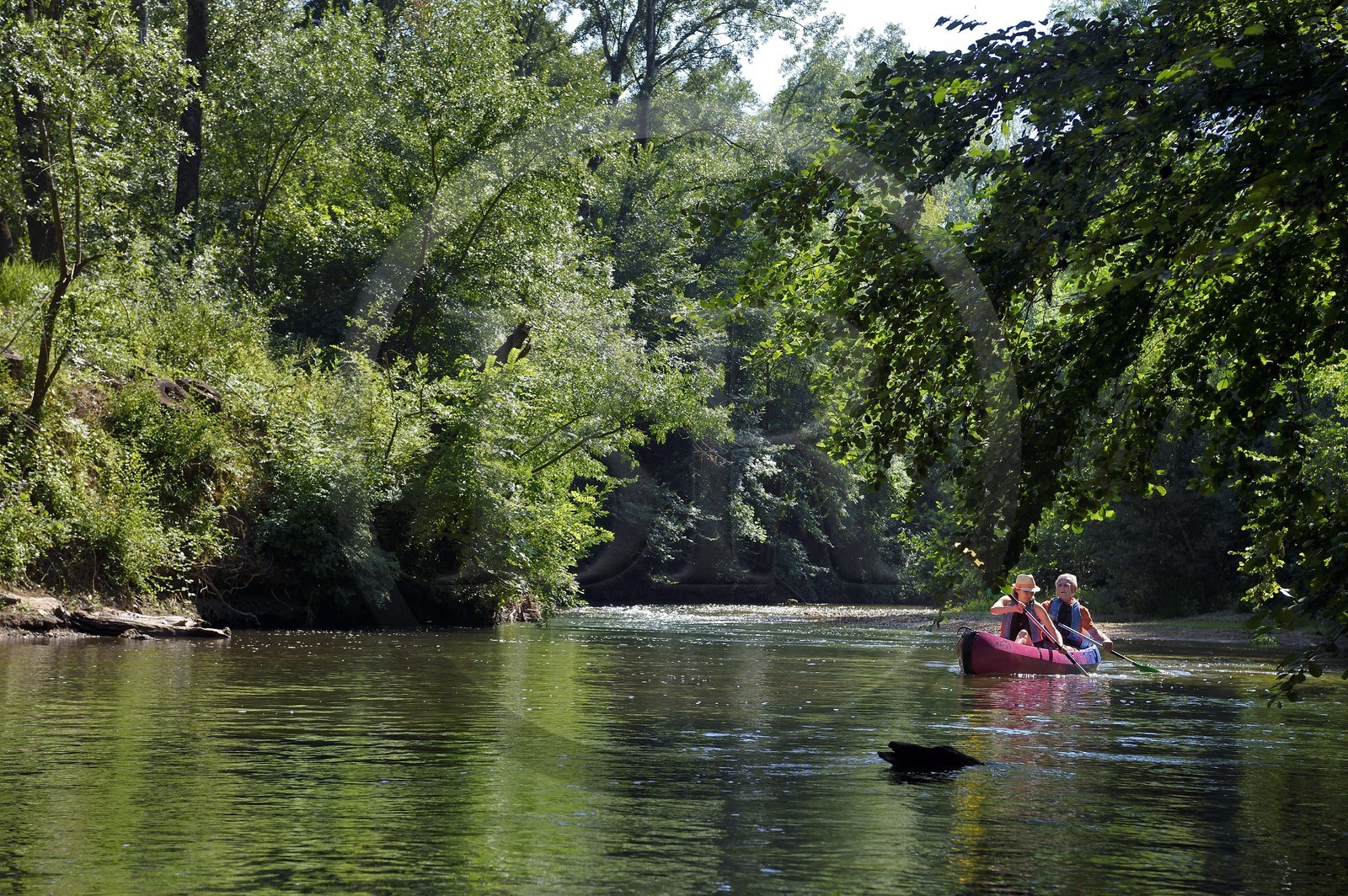 France, Var (83), Provence Verte, Vallée de l'Argens, canoë sur le fleuve Argens entre Carces et Le Thoronet
