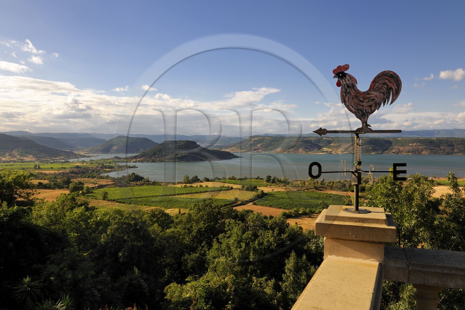 France, Hérault (34), le lac de Salagou, girouette surplombant les champs et vignoble