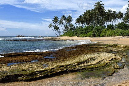 Sri Lanka, Province du Sud, Galle, plage du Jetwing Lighthouse Hotel