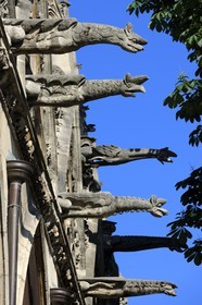 France, Paris (75), Eglise Saint-Séverin